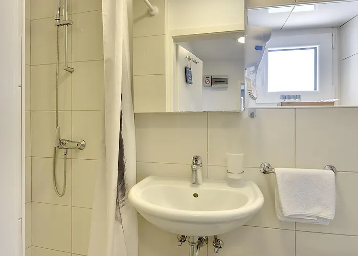 In Croatia Near Stunning Coastline